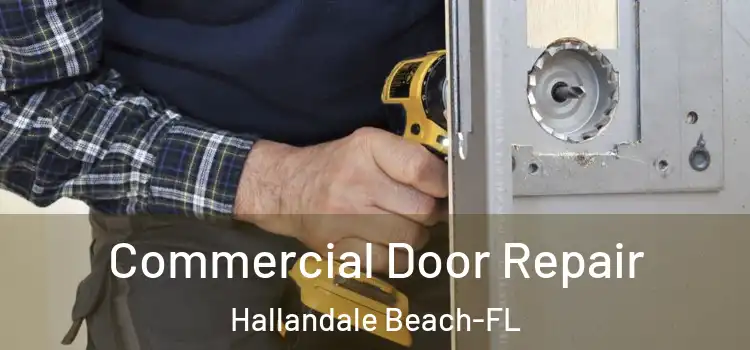 Commercial Door Repair Hallandale Beach-FL
