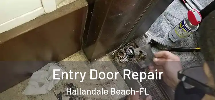 Entry Door Repair Hallandale Beach-FL