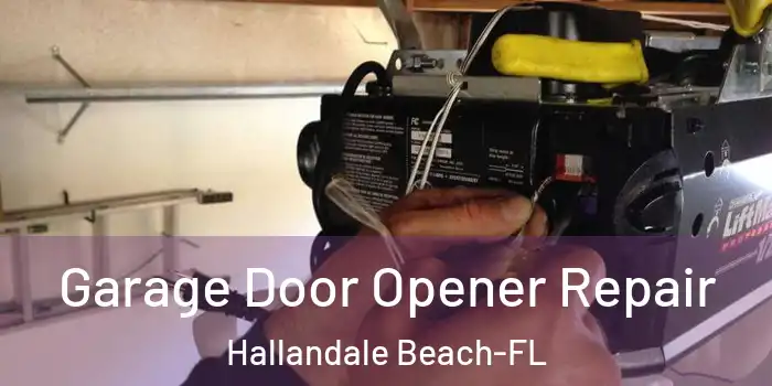 Garage Door Opener Repair Hallandale Beach-FL