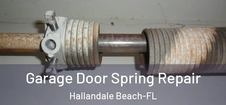  Garage Door Spring Repair Hallandale Beach-FL