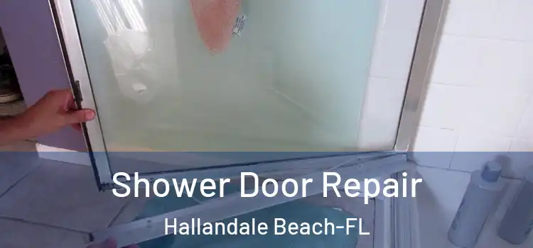  Shower Door Repair Hallandale Beach-FL